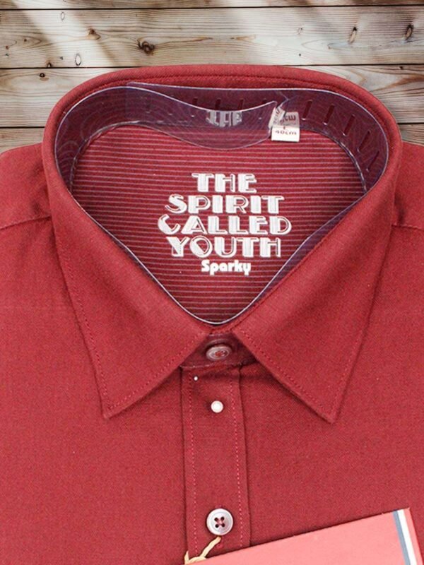 Men's Regular Fit Plain Brick Red Cotton Shirt. - Image 2