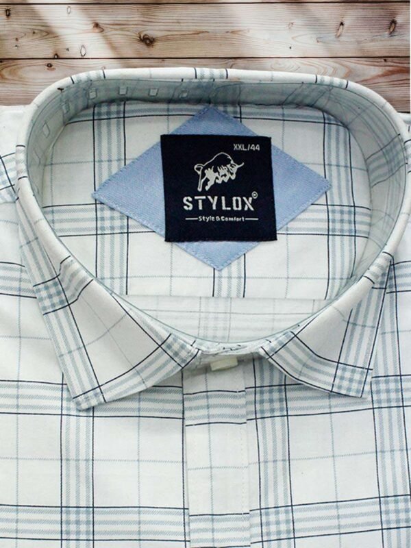 Men's Regular Fit White Checks Cotton Shirt. - Image 2